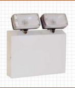 IP65 LED Emergency Twinspot Light