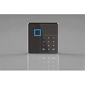 Economic Single door access controller