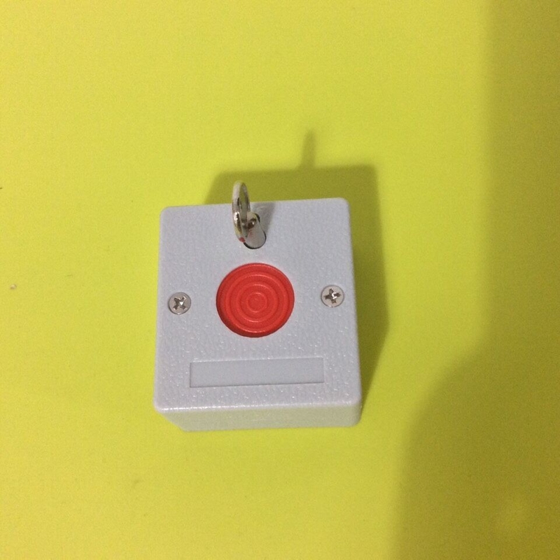 Panic Buttons with Key in Output:NO & NC for siren horn strobe lights